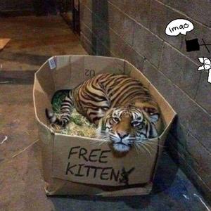 国产精品凹凸777777
